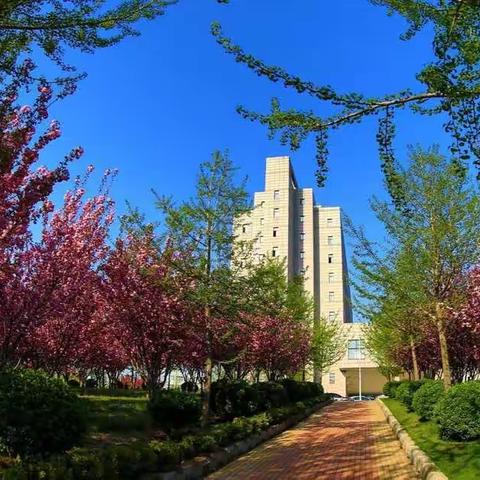 金厂沟梁——八年三班