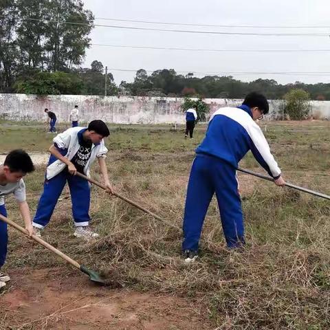 劳动炼筋骨，吃苦锤意志——七2班劳动课剪影