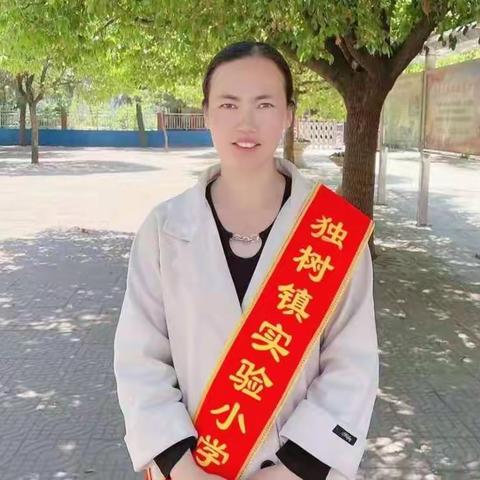 踔厉奋发育栋梁 笃行不怠硕果香 ——   独树镇实验小学最美教师丁小培老师风采展示