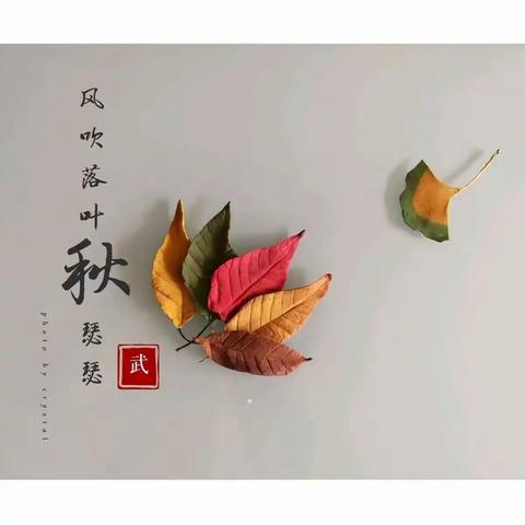 🍁树叶有“画”说——小小树叶，大大创意。