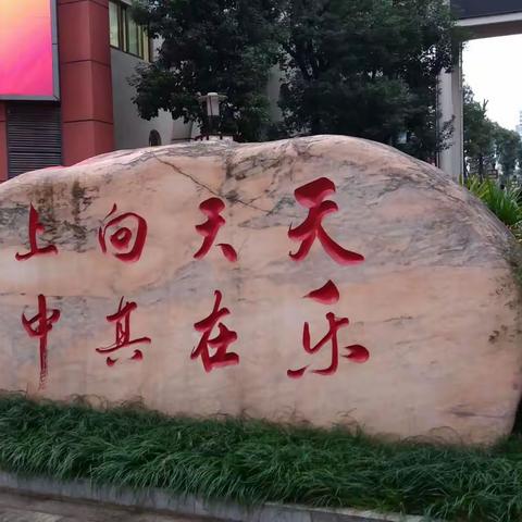 学习数学文化，培育快乐之人