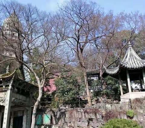 润物无声 教育无痕——记赴苏州骨干教师提高培训第二天学习