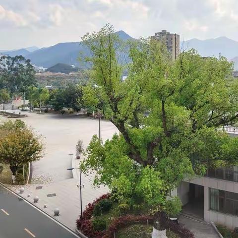 创新点亮学校党建