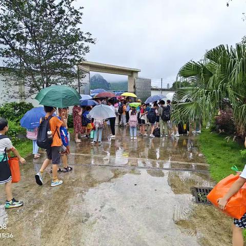 2024年6月14日星期五雨24~29℃第16周五月初九甲辰龙年庚午月己酉日