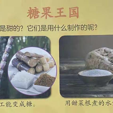 小班科学《糖果王国》