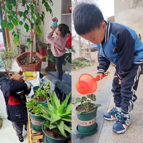 后巷实验学校一4班植树节孩子参与进来的点滴