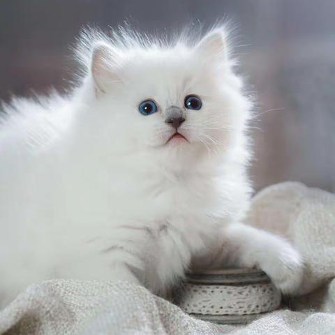 《我手写我心❤️我心表我意》