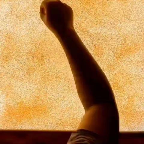 以爱之名  呵护生命