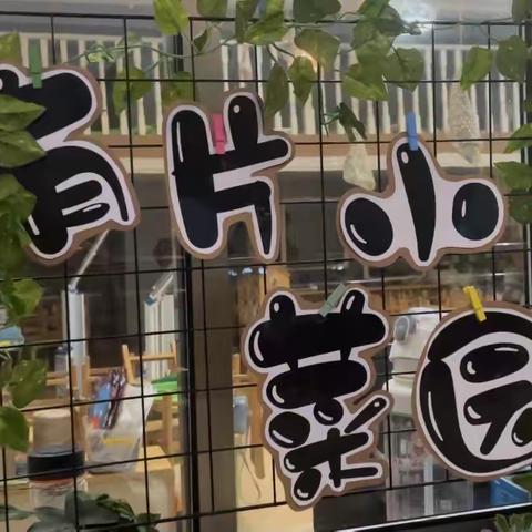 “秋”收获—大二班种植活动案例分享