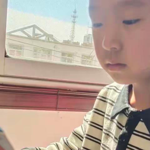 北马路小学一年级六班孙意扬《生命的认知和感触》