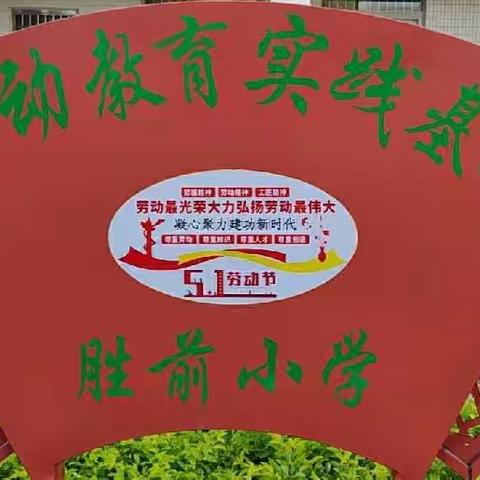 汕头市潮阳区铜盂胜前小学劳动教育实践基地建设纪实