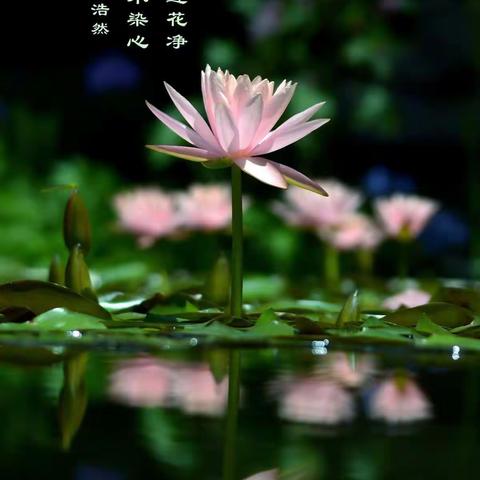 要孩子出彩，你做了什么？（副本）