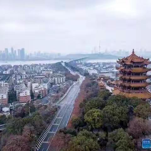 北方的天空下      新冠中我的居家生活   ——  三（二）刘昱达