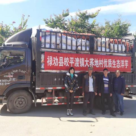 爱心助农，以买代扶帮--皎平渡镇消费助农活动首批产品发货了