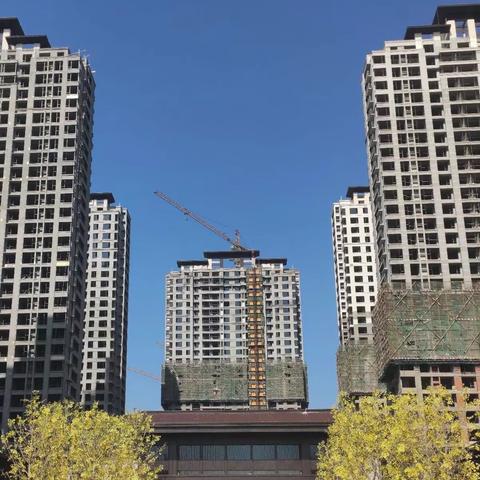 江河 • 颐璟城【大城已成】【名匠-张新】