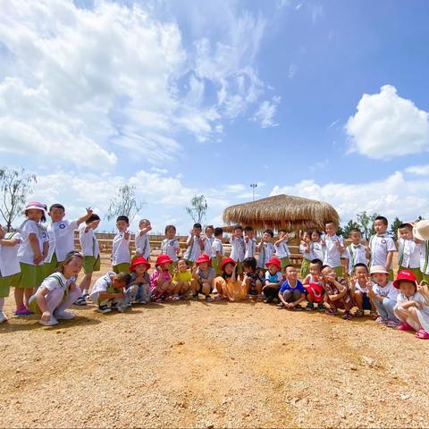 《探寻“梅小野花海”感受夏天》主题活动