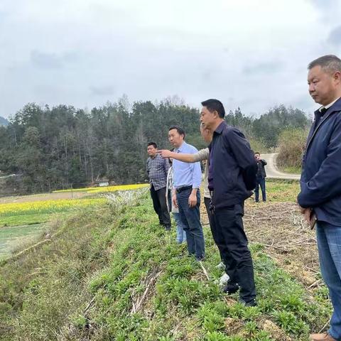县政协副主席刘明友到凤岭街道督促指导粮食安全生产工作