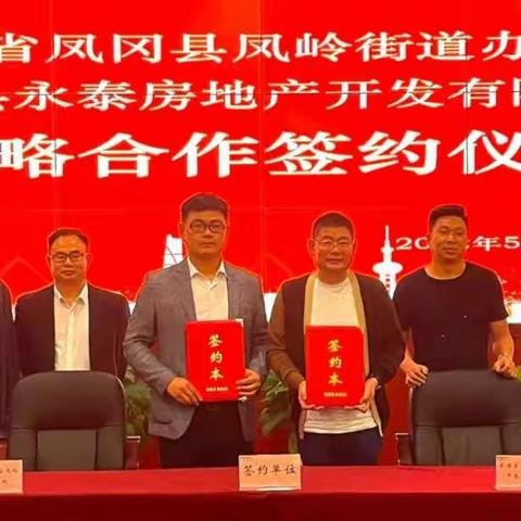 凤岭街道引企来凤，招商引资促发展
