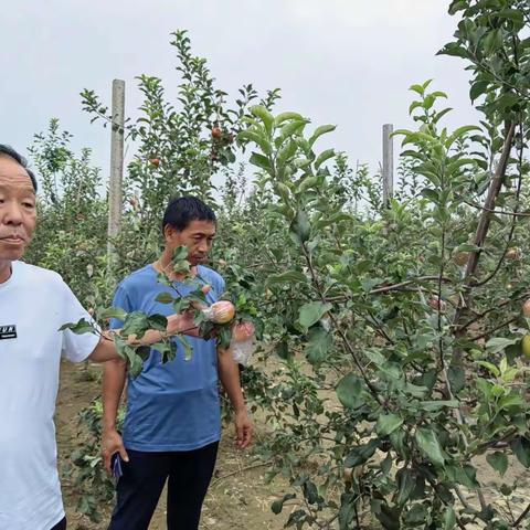 乡贤带动，村企互助，共促振兴
