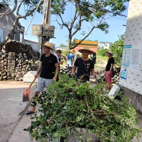 强化环境卫生整治，消除病媒孳生环境