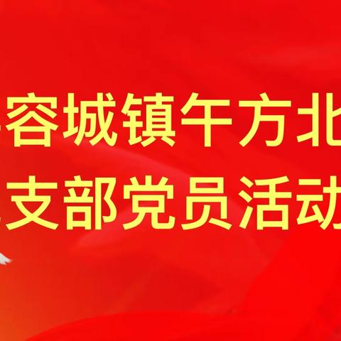 深入领悟精神    汲取奋进力量                      ——容城县容城镇午方北庄小学党支部党员活动日纪实