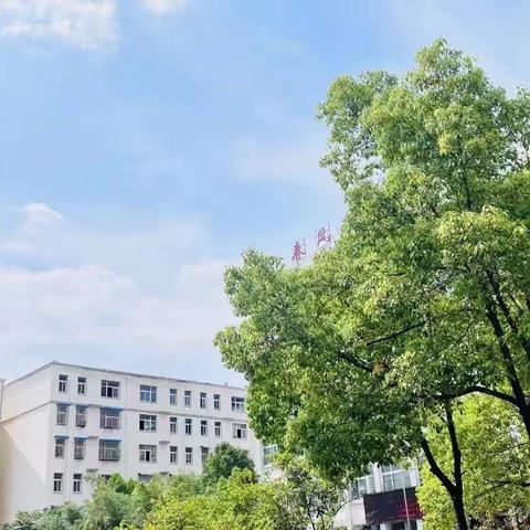 回眸向来耕耘处 亦有收获亦笃行——信阳市平桥区第三小学2021-2022学年下期工作总结大会