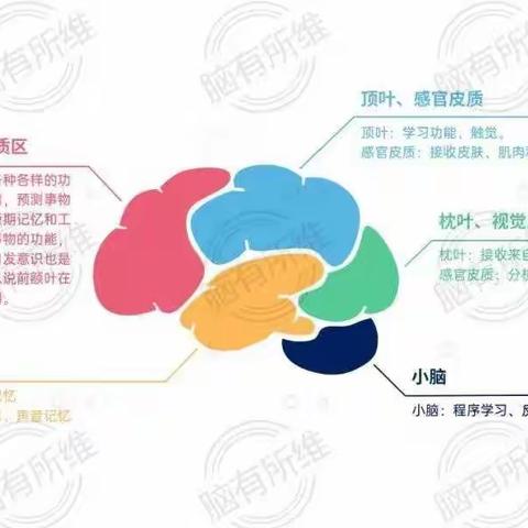 共同帮助孩子打造最强大脑。    ——新中七三班第三次线上读书会再次启航