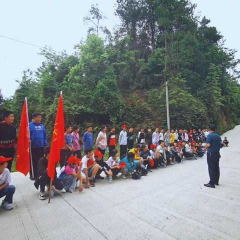 我为群众办实事|青龙乡中学党员助力茶农采茶主题党日活动