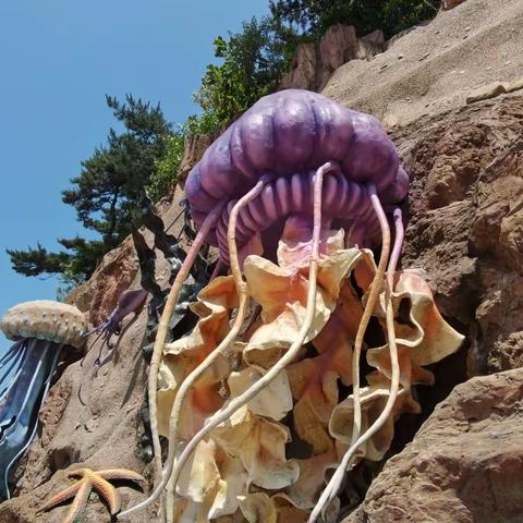 智慧莲花-小芹的美篇