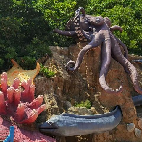 智慧莲花-小芹的美篇