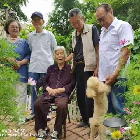 2023年6月19日.老伴的几位同学来到了我家聚会，观花赏景。同学们都非常的开心，