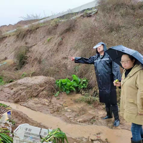 西洛镇十月份党史学习教育专栏