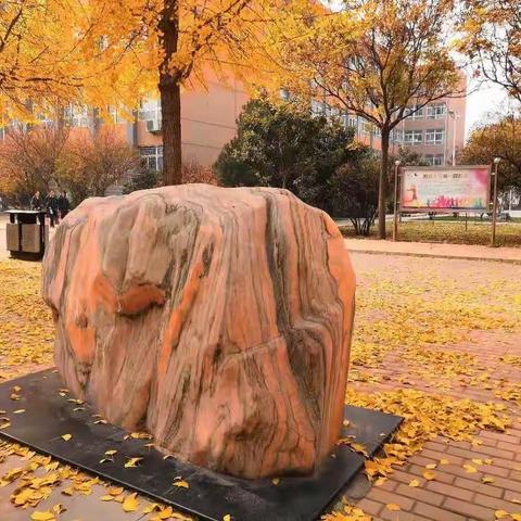 安阳市二中高一年级专题活动（生物+地理）