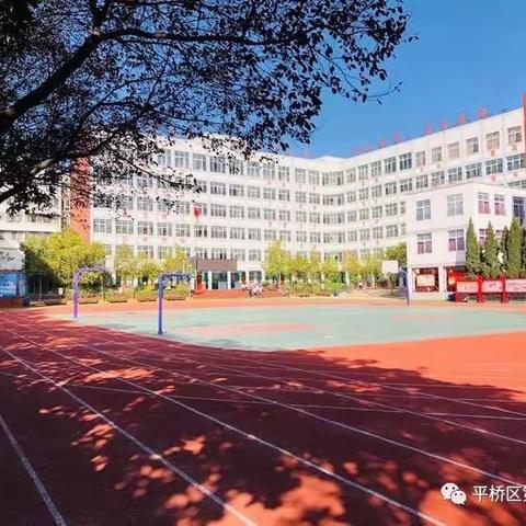 奇思妙想，层出不穷，多元抗疫，特长所在——平桥三小线上校本课程（三）