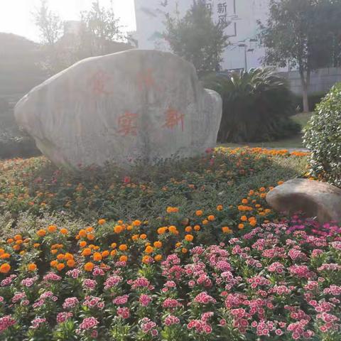 培训第四天