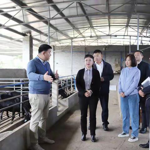 杨会春到琼山区督导巩固脱贫攻坚成果工作