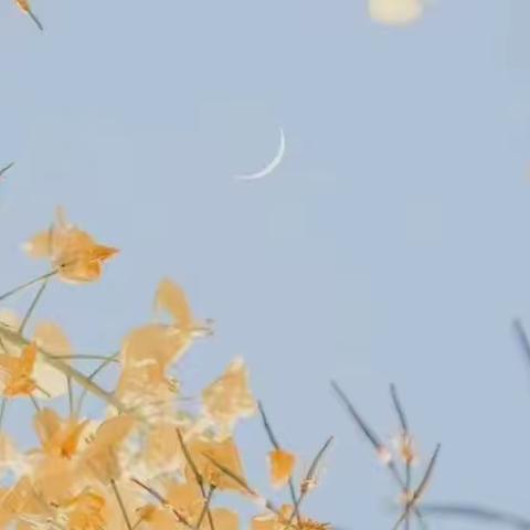 独辟蹊径磋教艺，百舸争流竞风采——宿豫区小学语文教师优课评比活动