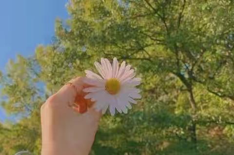 欢乐童年，“艺”展风采一记宿豫张家港实验小学二年级十佳学生竞选活动