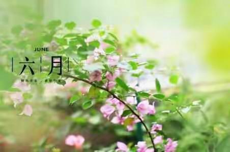 迎接盛夏