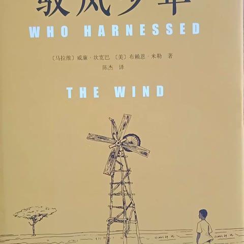 整本书阅读分享(八)——走进《驭风少年》