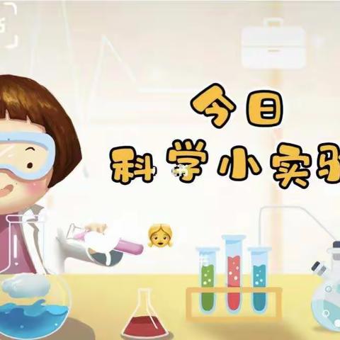 体验科学魅力，播撒科学种子