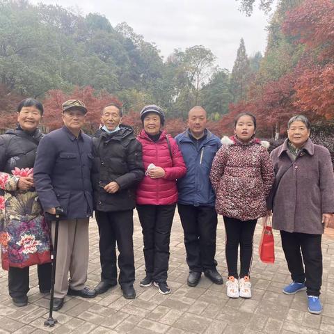 迎丰公园霜叶似红花