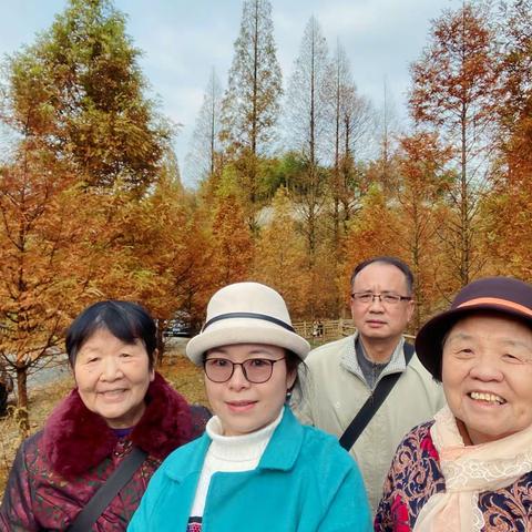 帽子坡水杉扮红妆