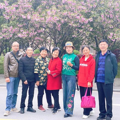 癸卯年怀化学院赏樱花