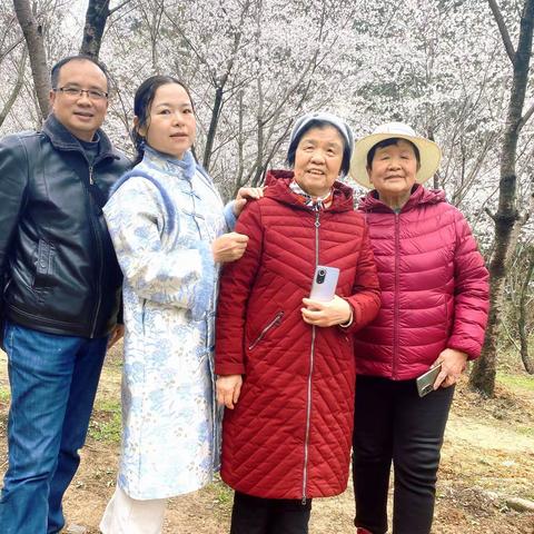 中坡公园乐赏樱花