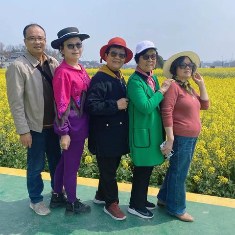 桐木镇的彩色菜花和百年老藤