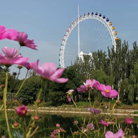游龙潭中湖公园