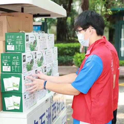 用爱和真心为银龄一族撑起防疫保护伞 ——白石洲西社区长者关爱服务