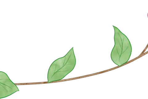 家园同行 共育花开——淮安市袁集幼儿园2023年家长会