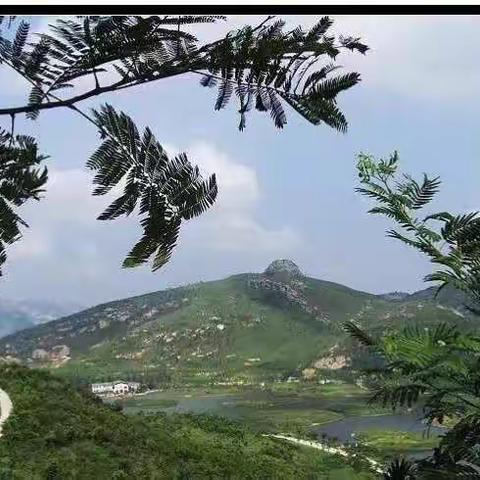 母爱乳山——山东省家庭教育实验基地经验交流暨现场观摩研讨会议（副本）